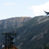 Zvětšit obrázek