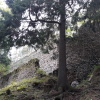 Zvětšit obrázek