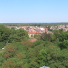 Zvětšit obrázek