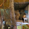 Zvětšit obrázek