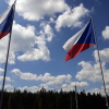 Zvětšit obrázek