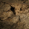 Zvětšit obrázek