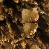 Zvětšit obrázek