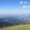 Zvětšit obrázek