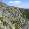 Zvětšit obrázek