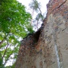 Zvětšit obrázek