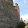 Zvětšit obrázek