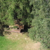 Zvětšit obrázek