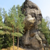 Zvětšit obrázek
