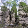 Zvětšit obrázek