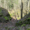 Zvětšit obrázek