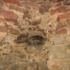 Zvětšit obrázek