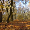 Zvětšit obrázek