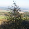 Zvětšit obrázek