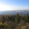 Zvětšit obrázek