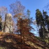Zvětšit obrázek