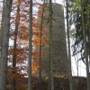 Zvětšit obrázek