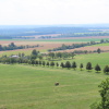 Zvětšit obrázek