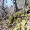 Zvětšit obrázek
