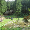 Zvětšit obrázek