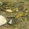 Zvětšit obrázek
