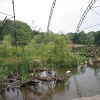 Zvětšit obrázek