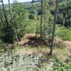 Zvětšit obrázek